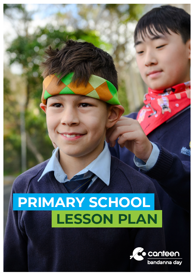 Primary School Lesson Plan