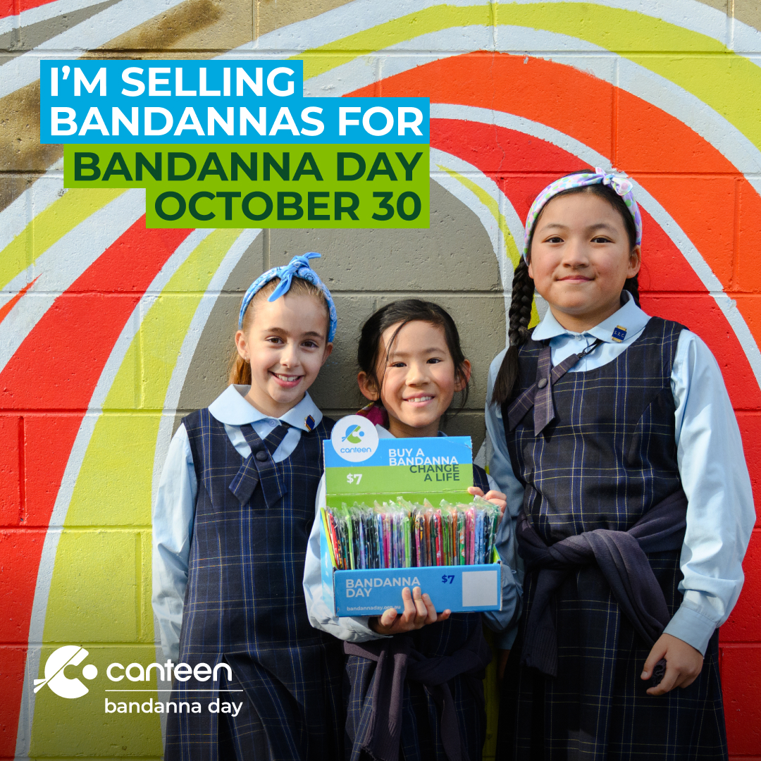Social Asset: Selling Bandannas (School)